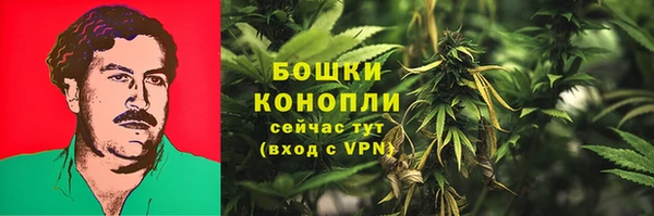 мескалин Ладушкин