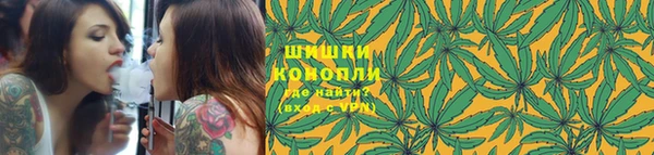 первитин Нягань