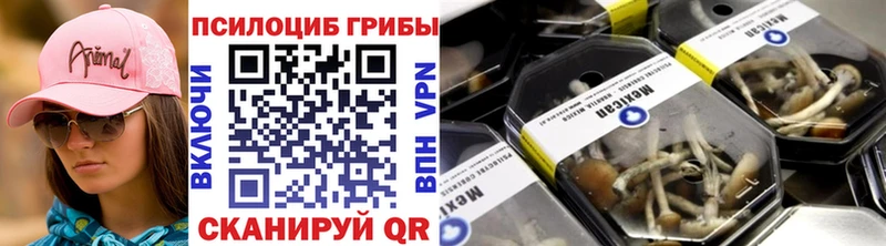 закладка  Урус-Мартан  Галлюциногенные грибы GOLDEN TEACHER 